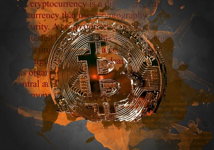 Winklevoss twins’ fearless forecast- stablescoins is the wave of the crypto future 2
